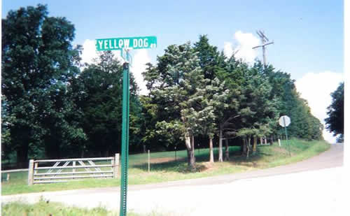 Yellow Dog Road